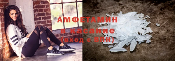 гашик Дмитров